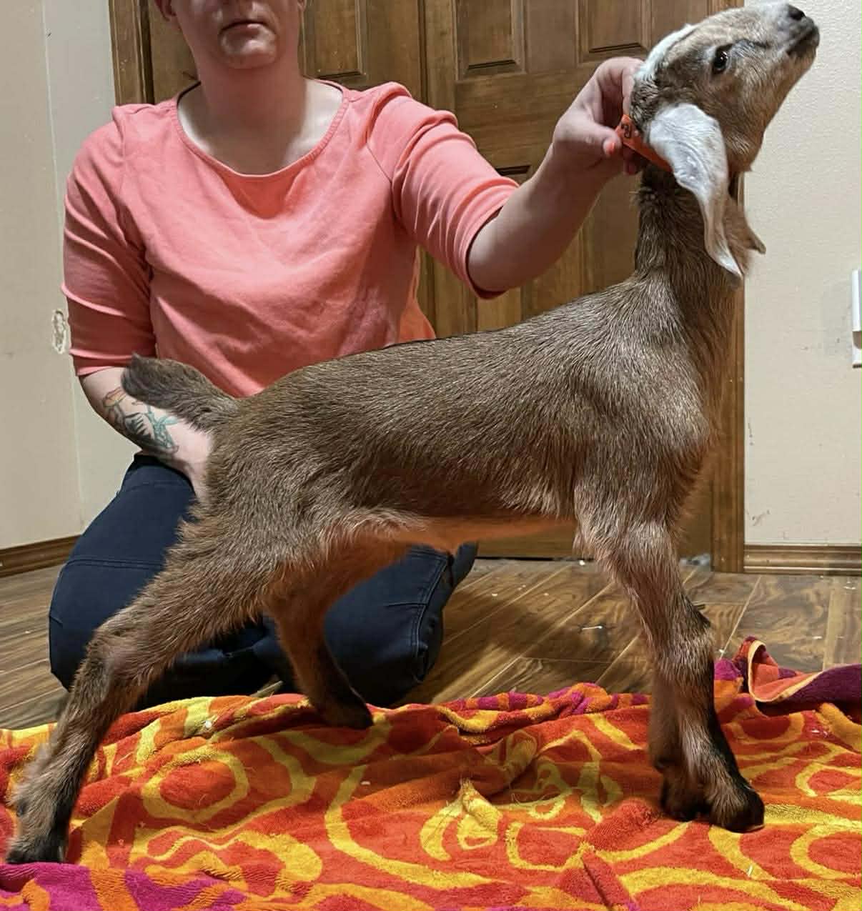 Penelope at 2 weeks old